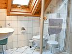 Gartenblick - Badezimmer mit Dusche und WC