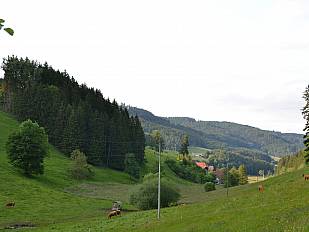 Blick vom Stulzenhof in Richtung Dorf