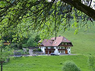 Blick auf den Stulzenhof - Ferienwohnungen im Dachgeschoss