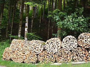Brennholz vom Stulzenhof zu verkaufen