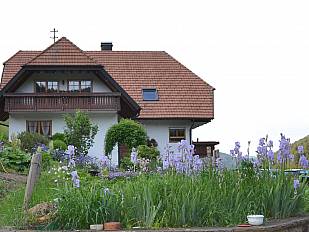 Schöner Bauerngarten mit Blick aufs Haus